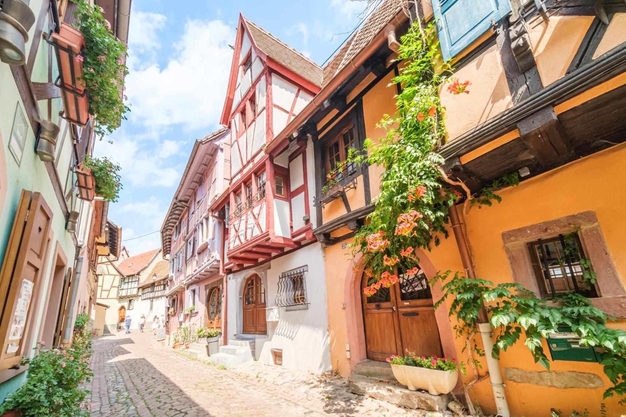 L Oriel Du Rempart Nord Villa Eguisheim Dış mekan fotoğraf